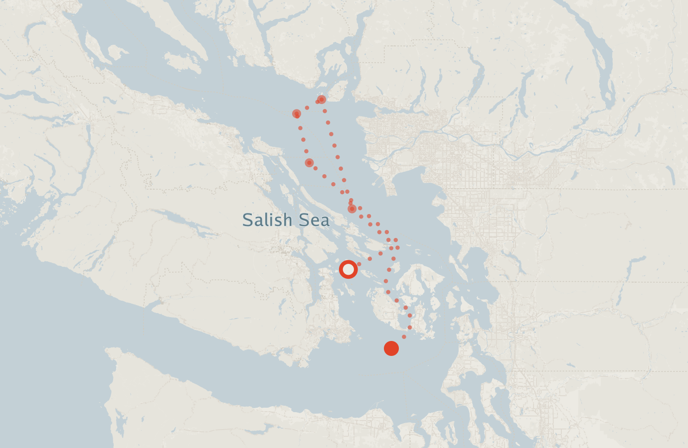 Activity map — real sighting points on an OpenStreetMap basemap