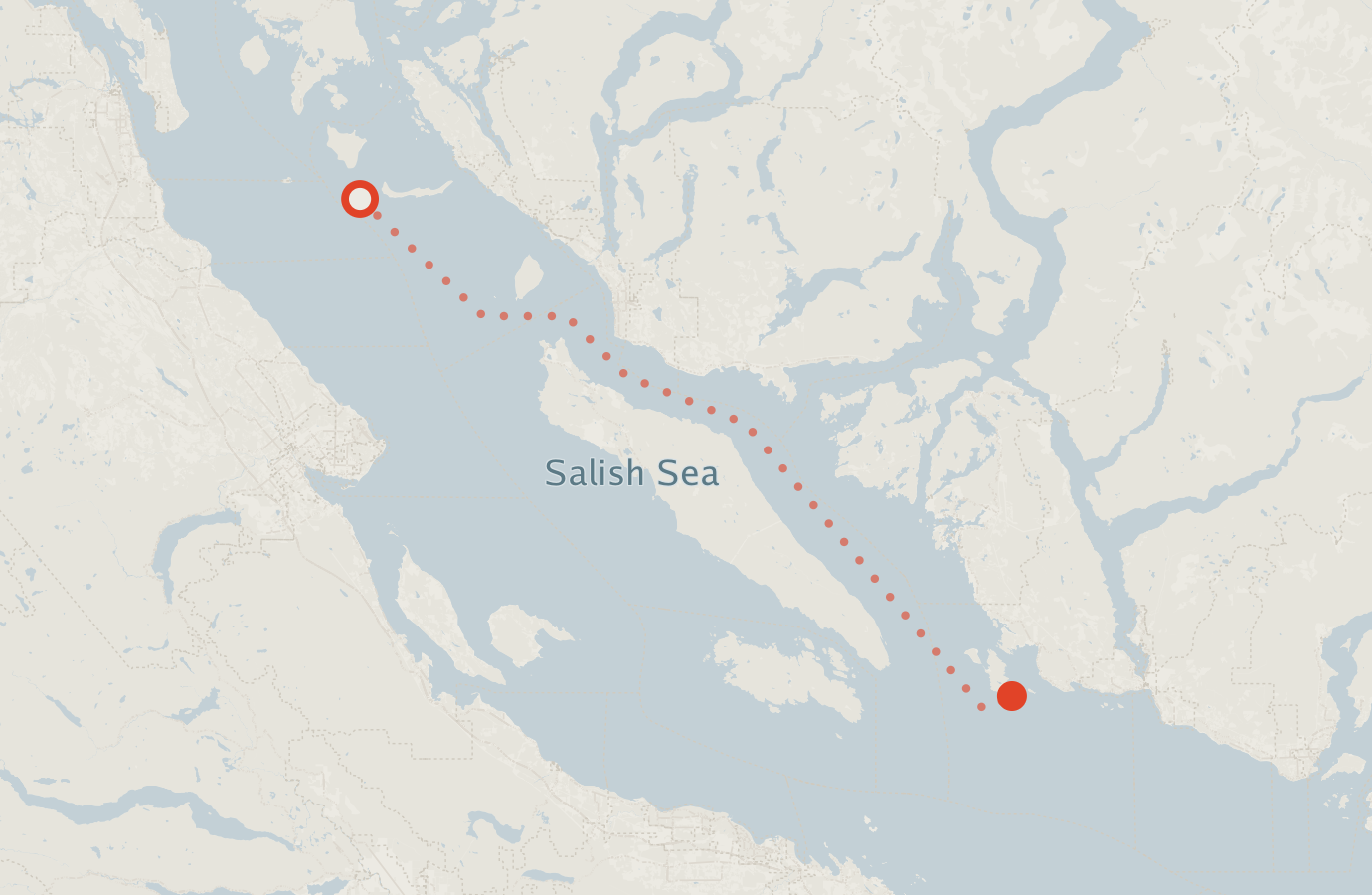 Activity map — real sighting points on an OpenStreetMap basemap