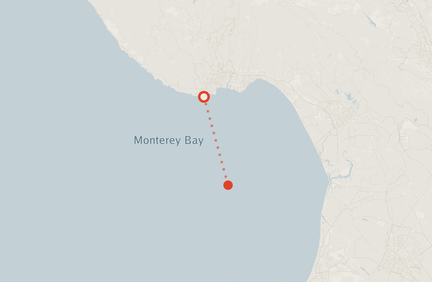 Activity map — real sighting points on an OpenStreetMap basemap