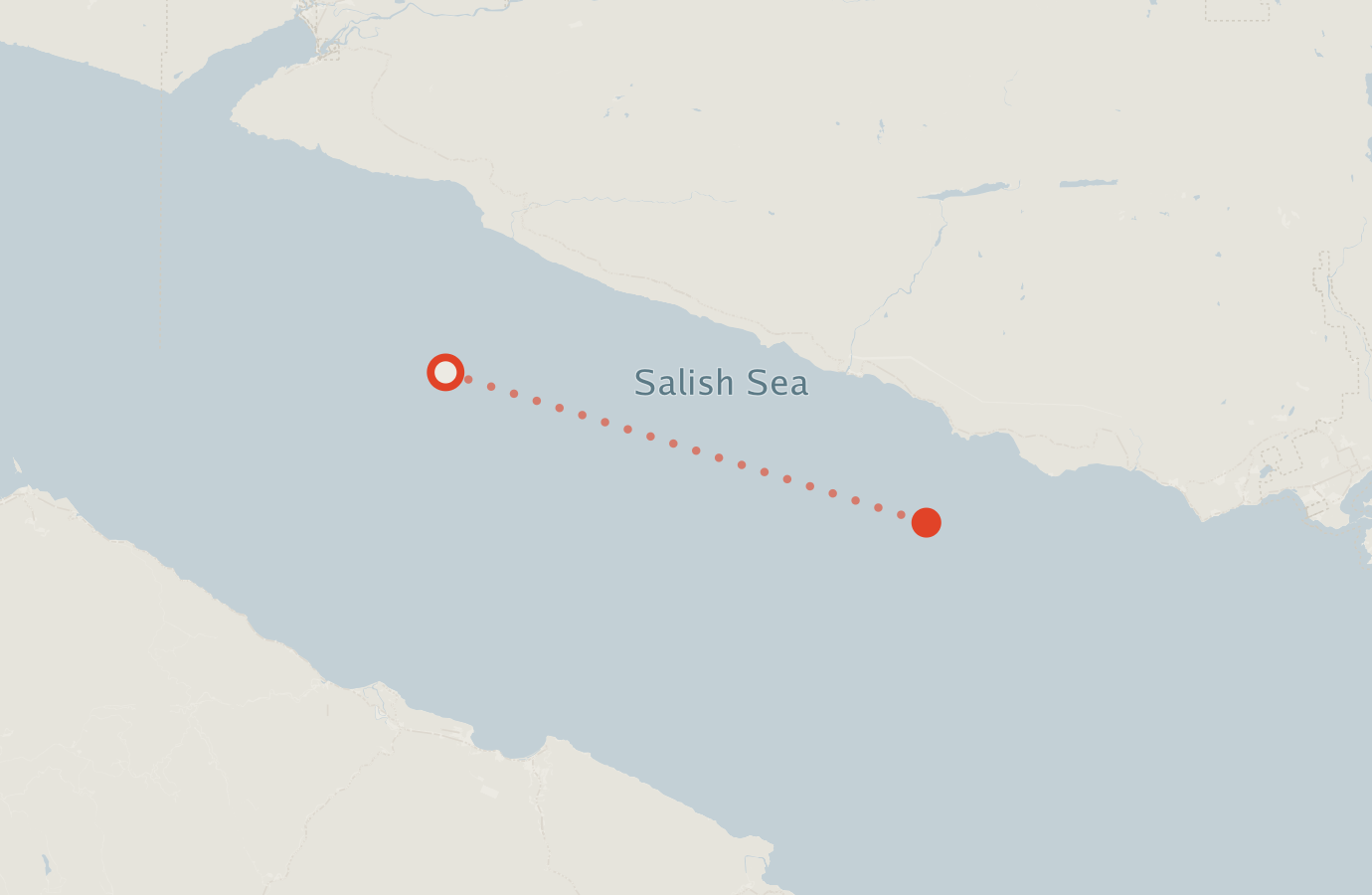 Activity map — real sighting points on an OpenStreetMap basemap
