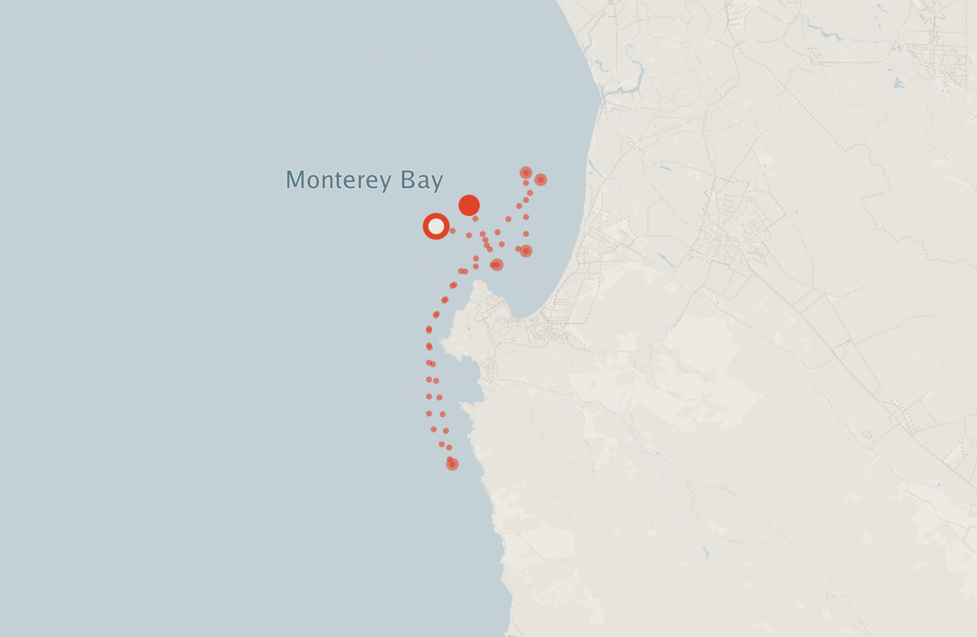 Activity map — real sighting points on an OpenStreetMap basemap