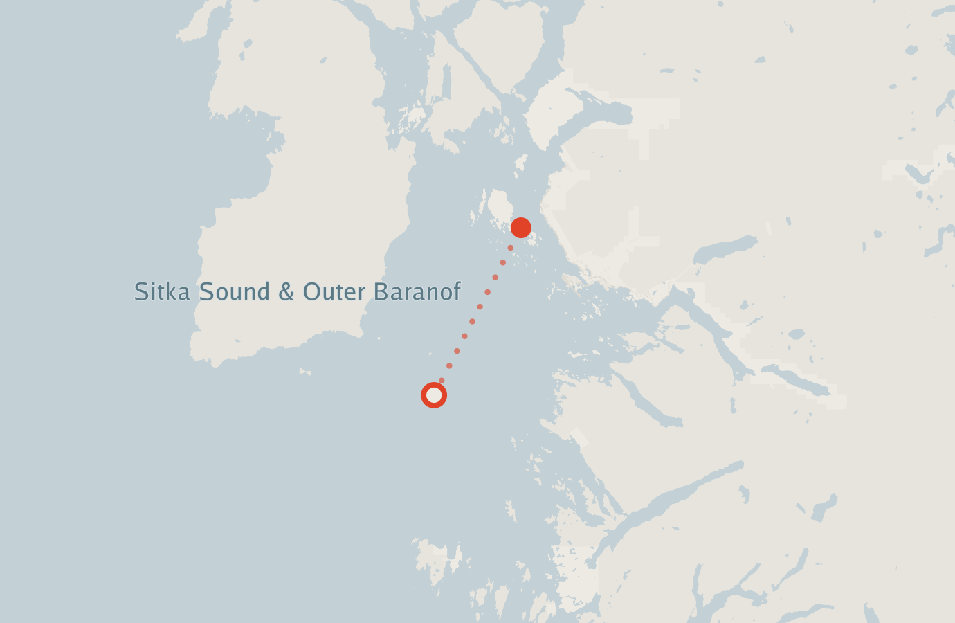 Activity map — real sighting points on an OpenStreetMap basemap