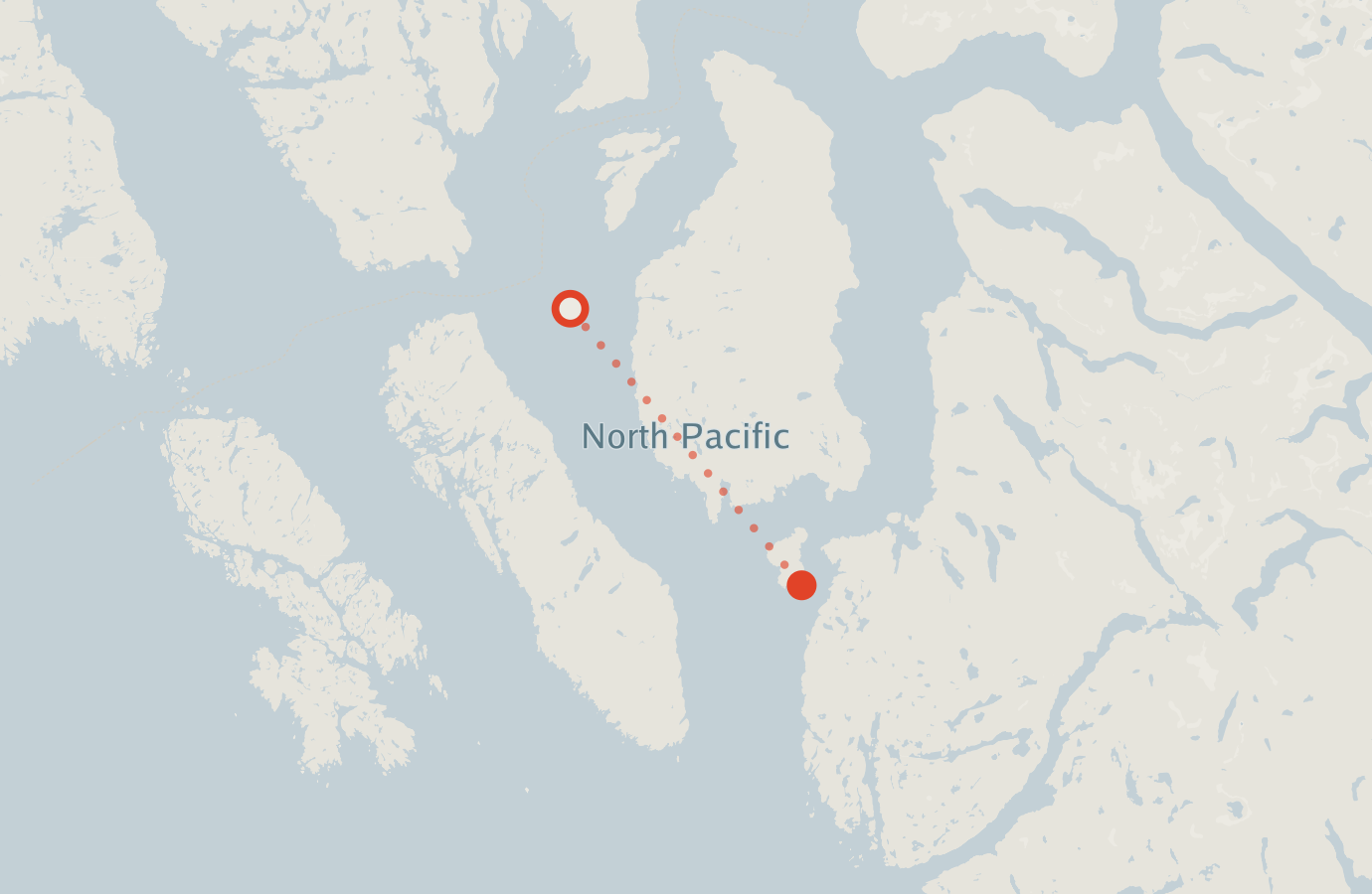 Activity map — real sighting points on an OpenStreetMap basemap
