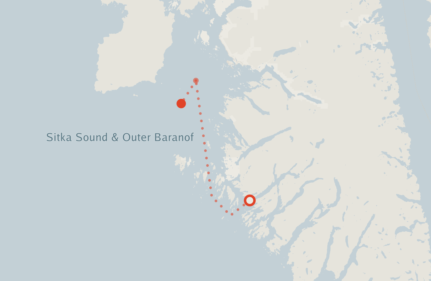 Activity map — real sighting points on an OpenStreetMap basemap