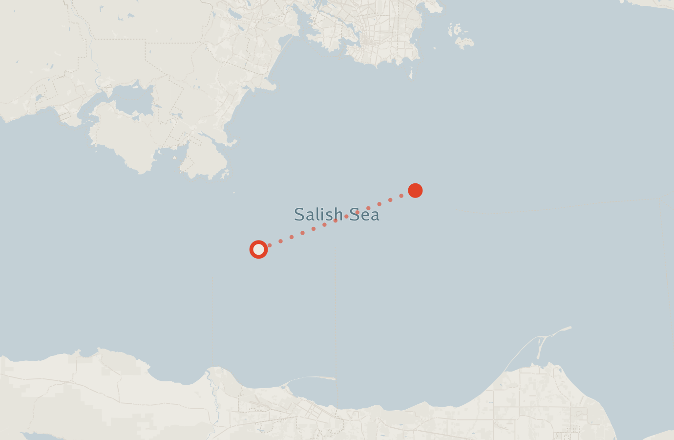 Activity map — real sighting points on an OpenStreetMap basemap