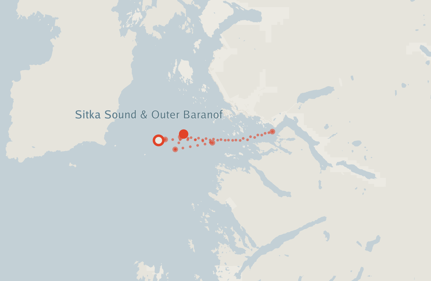 Activity map — real sighting points on an OpenStreetMap basemap