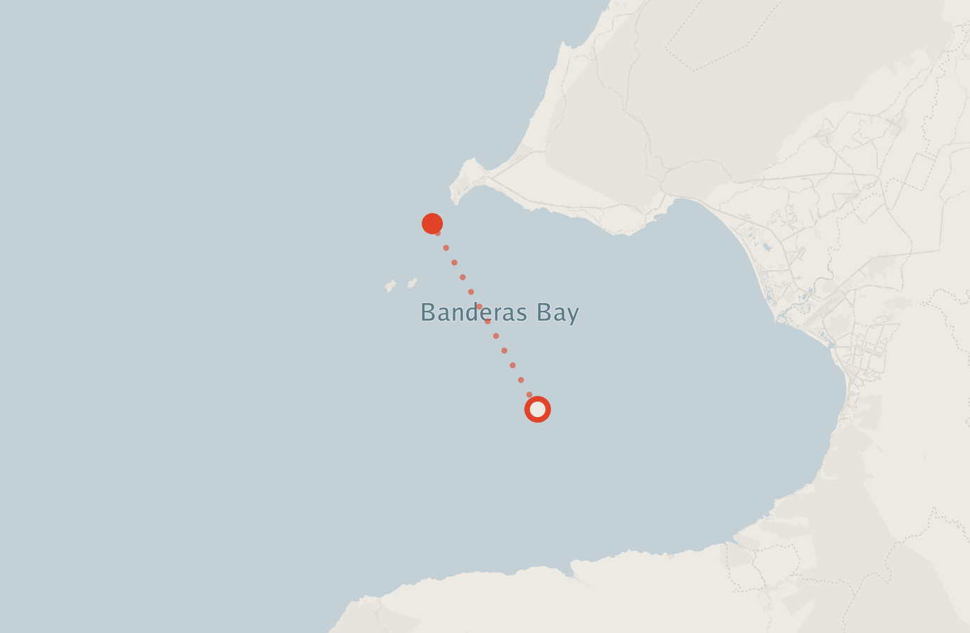 Activity map — real sighting points on an OpenStreetMap basemap