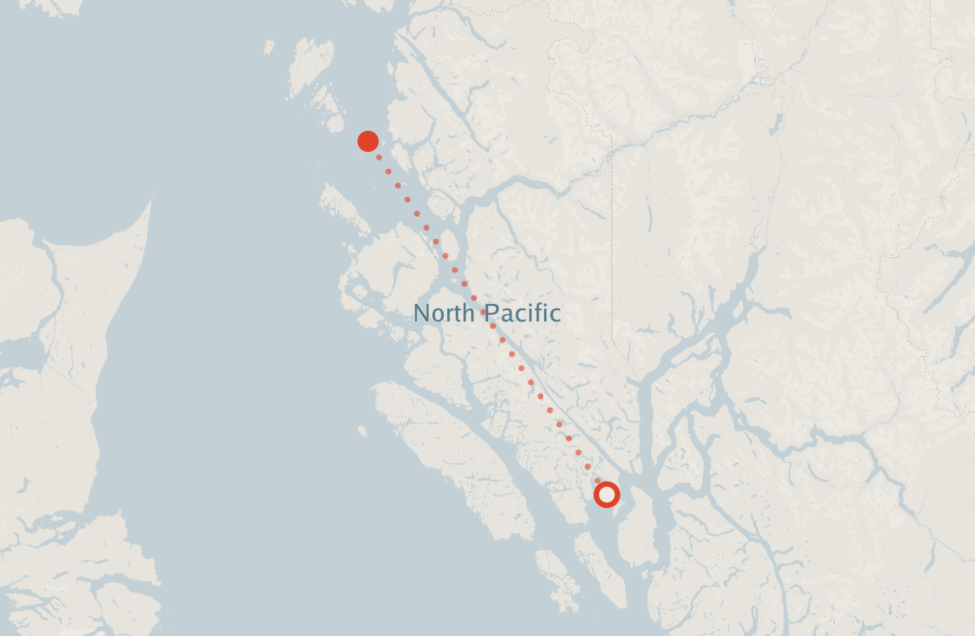 Activity map — real sighting points on an OpenStreetMap basemap