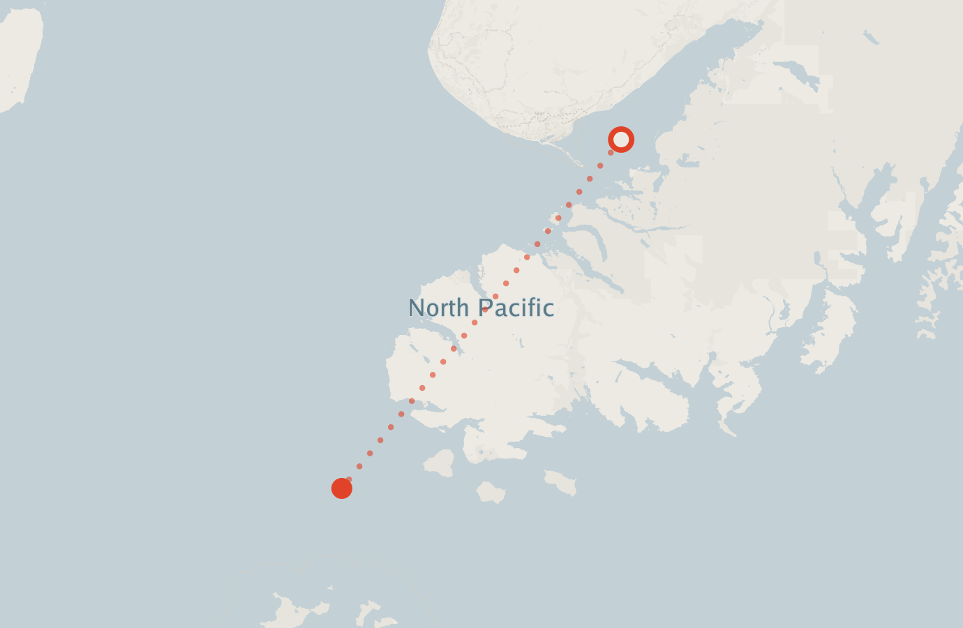 Activity map — real sighting points on an OpenStreetMap basemap
