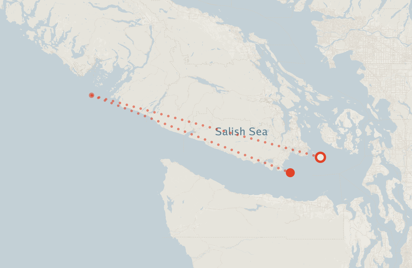 Activity map — real sighting points on an OpenStreetMap basemap
