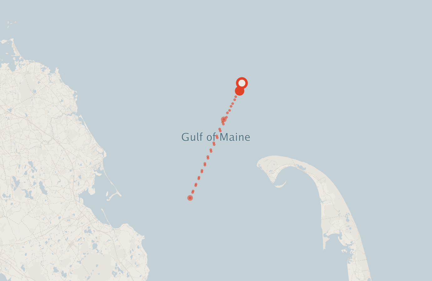 Activity map — real sighting points on an OpenStreetMap basemap