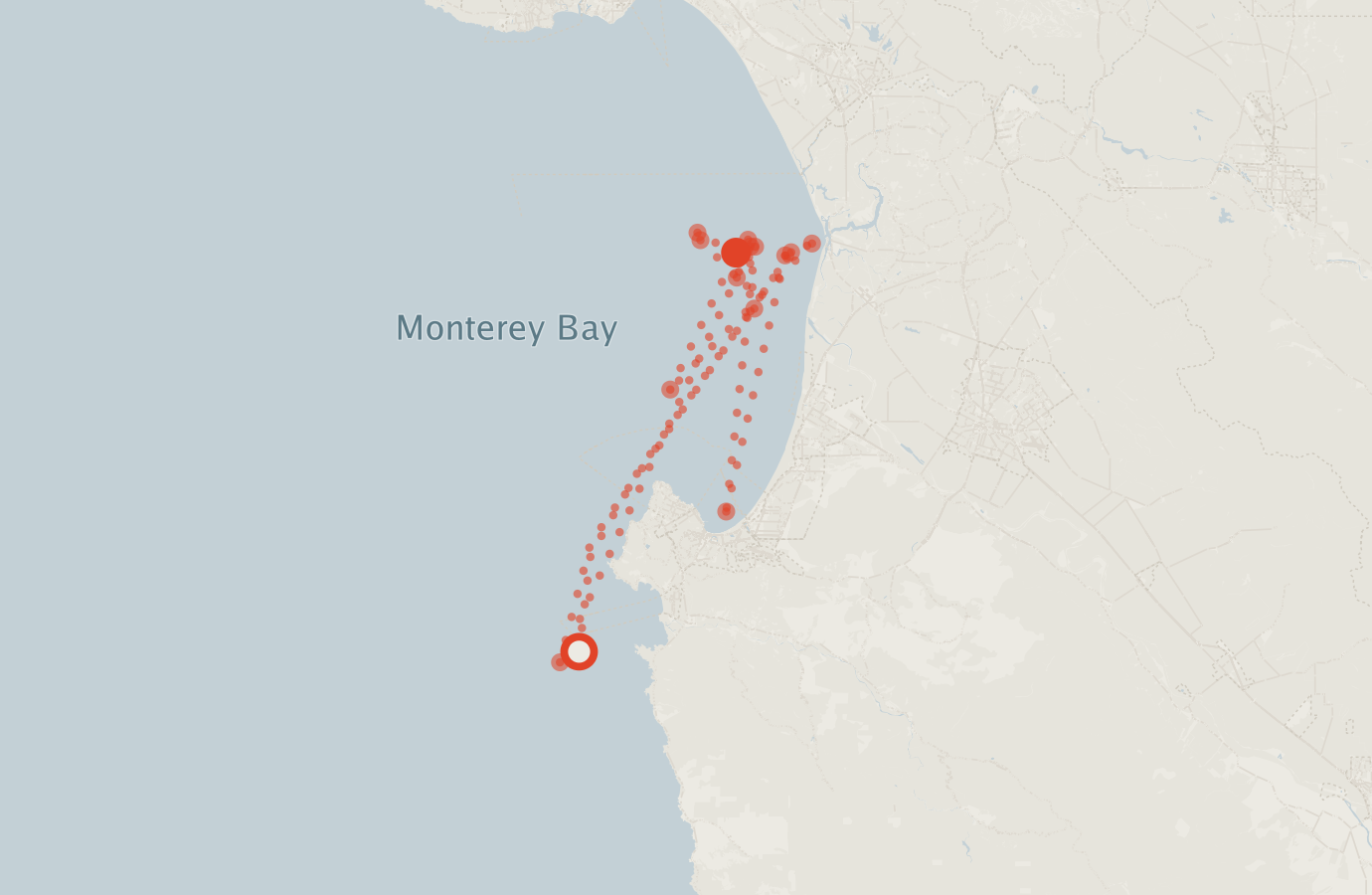 Activity map — real sighting points on an OpenStreetMap basemap