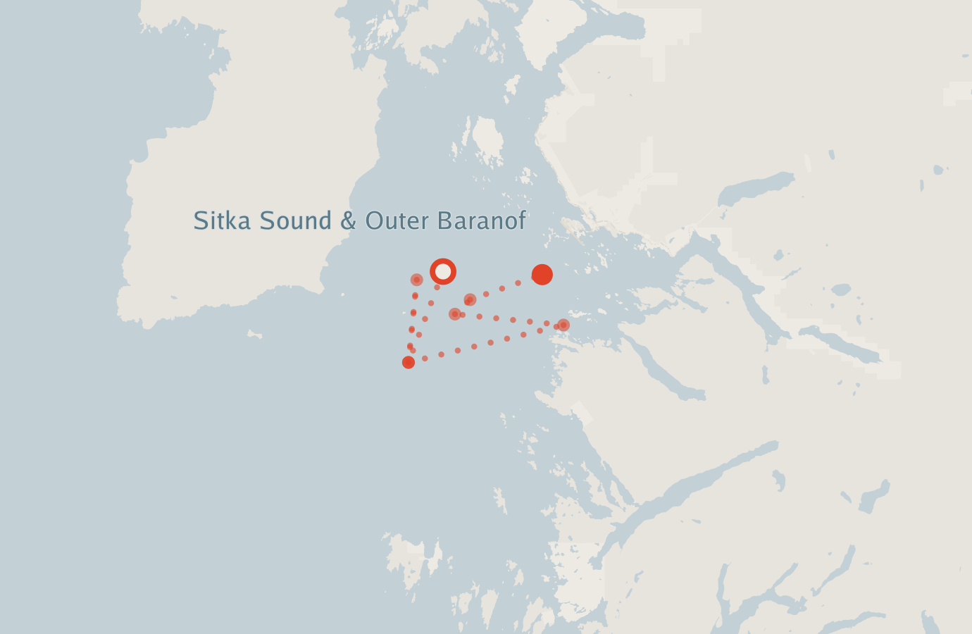 Activity map — real sighting points on an OpenStreetMap basemap