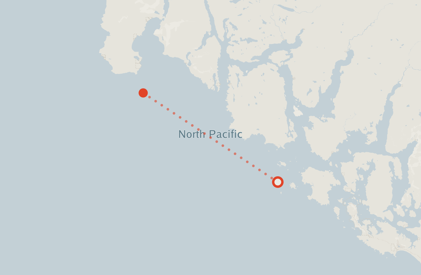 Activity map — real sighting points on an OpenStreetMap basemap
