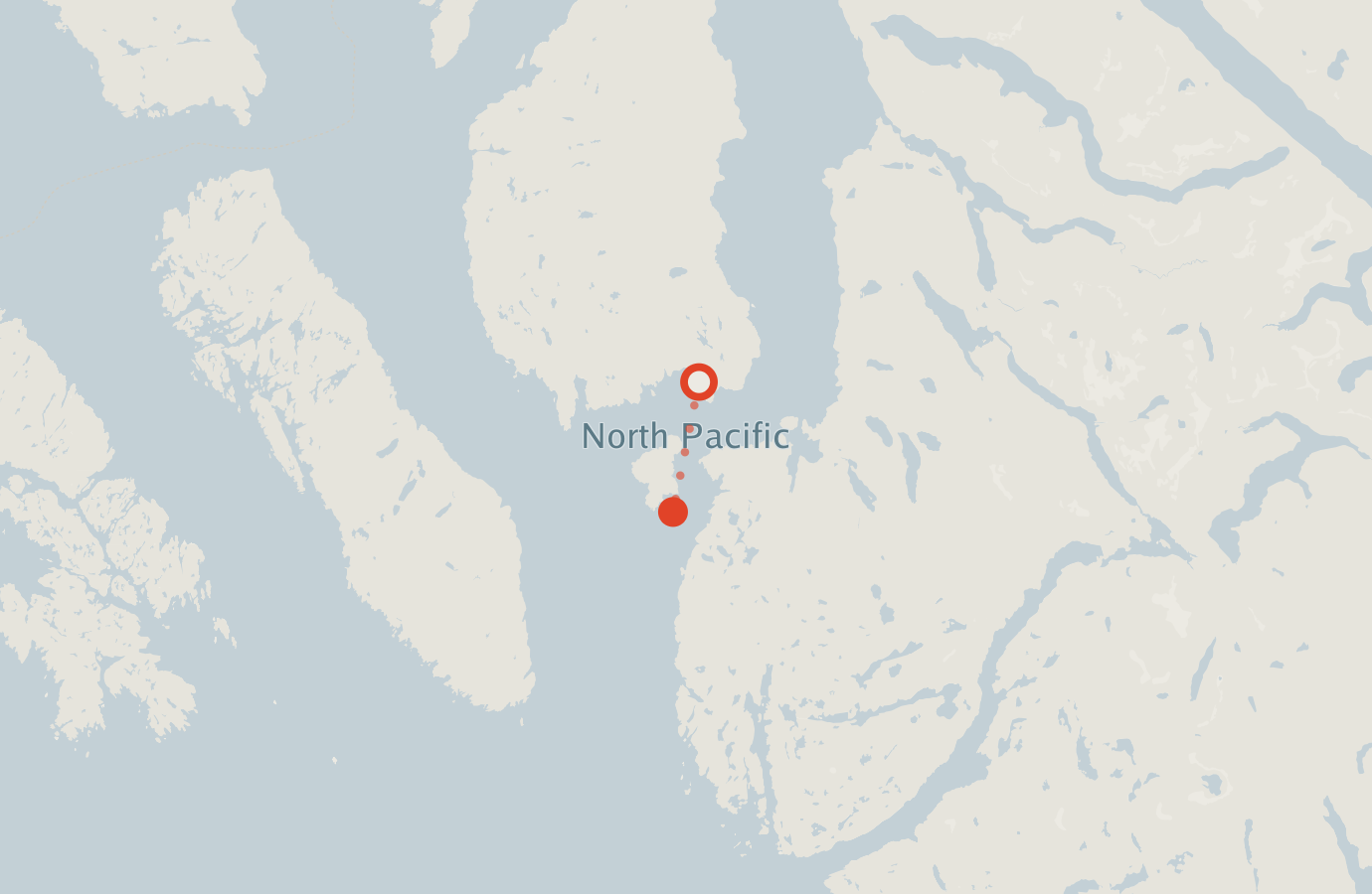 Activity map — real sighting points on an OpenStreetMap basemap