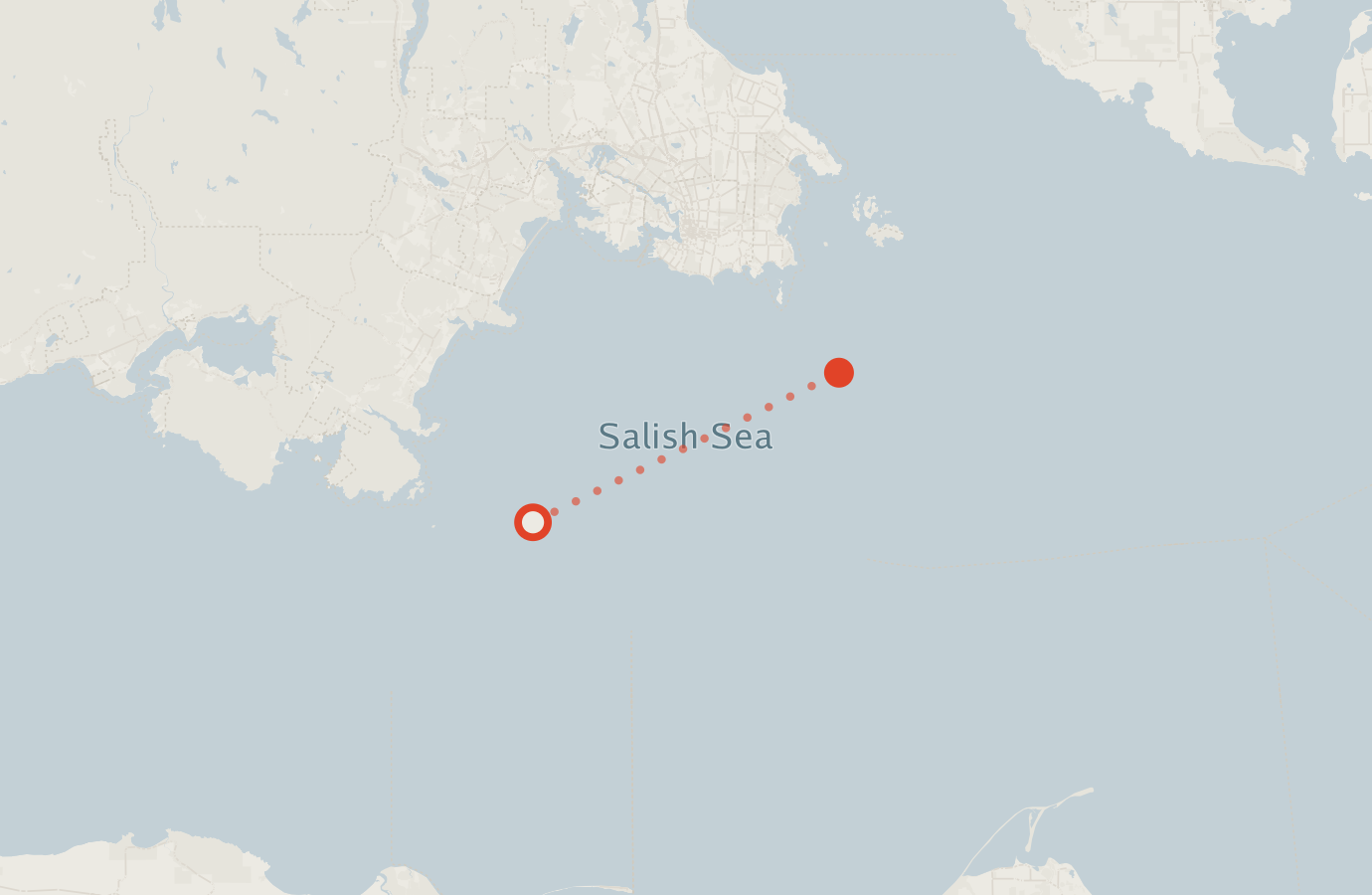Activity map — real sighting points on an OpenStreetMap basemap