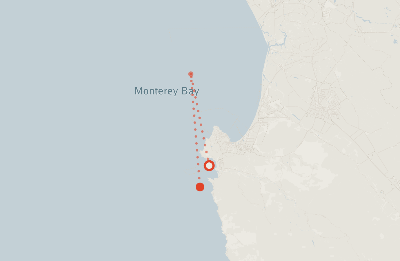 Activity map — real sighting points on an OpenStreetMap basemap