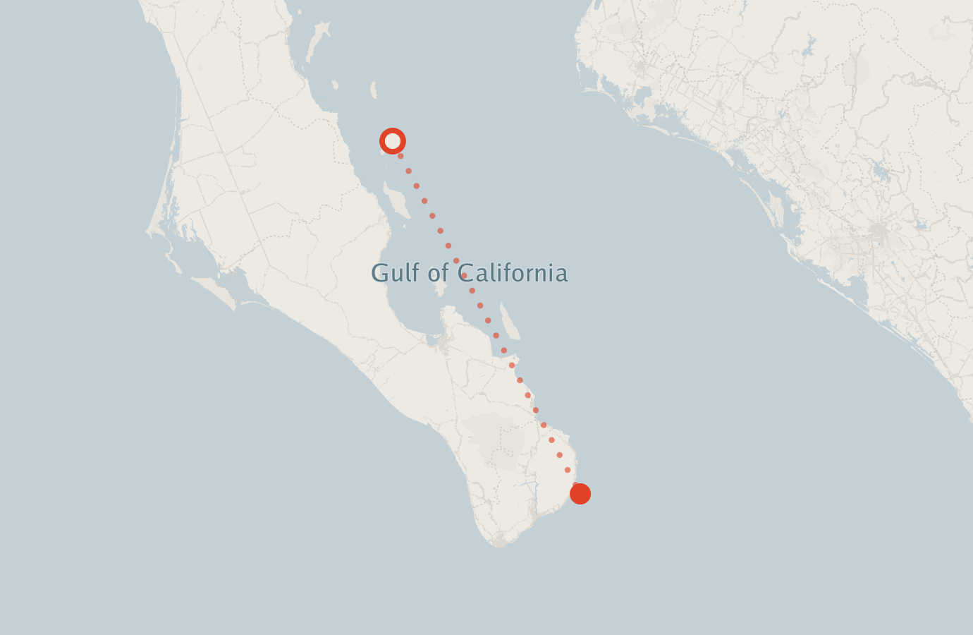 Activity map — real sighting points on an OpenStreetMap basemap