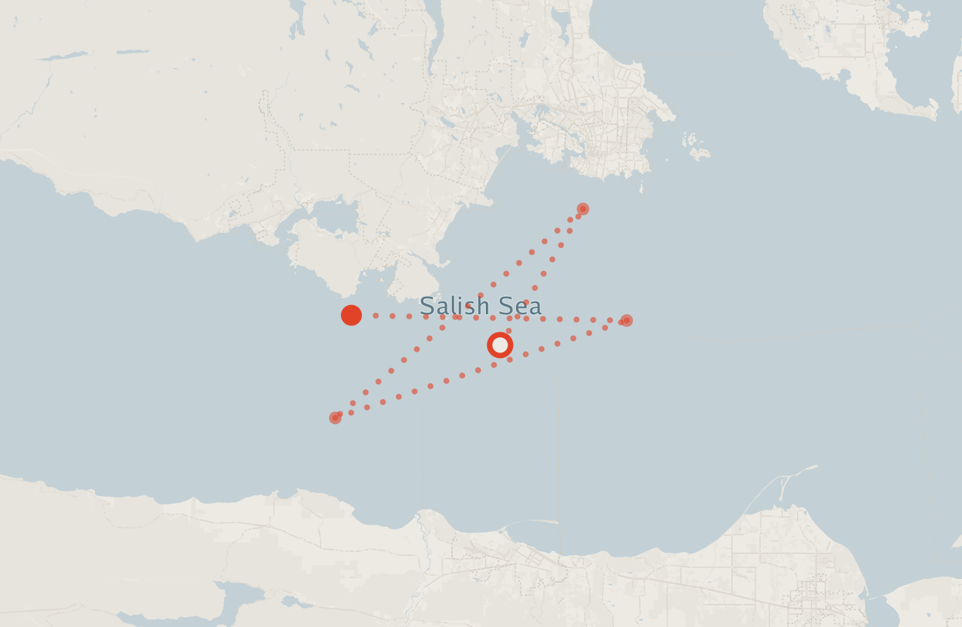 Activity map — real sighting points on an OpenStreetMap basemap