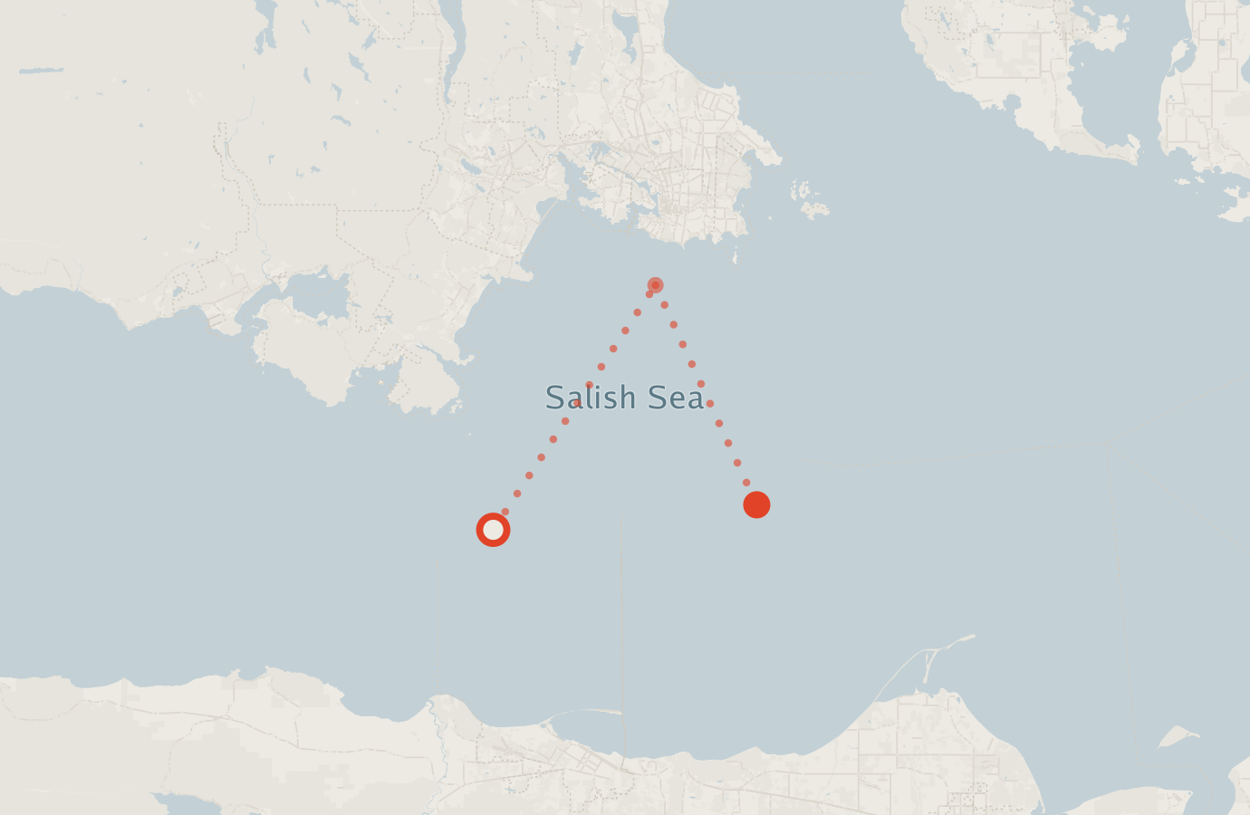 Activity map — real sighting points on an OpenStreetMap basemap