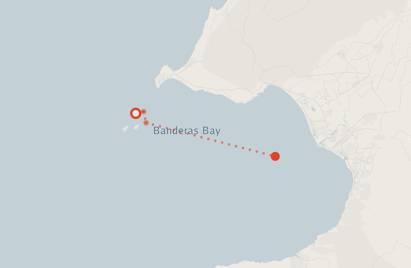 Activity map — real sighting points on an OpenStreetMap basemap