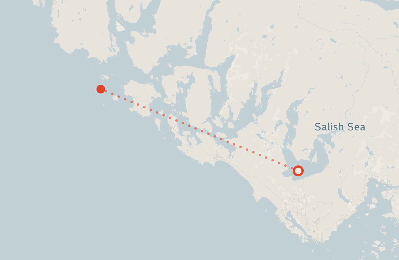 Activity map — real sighting points on an OpenStreetMap basemap
