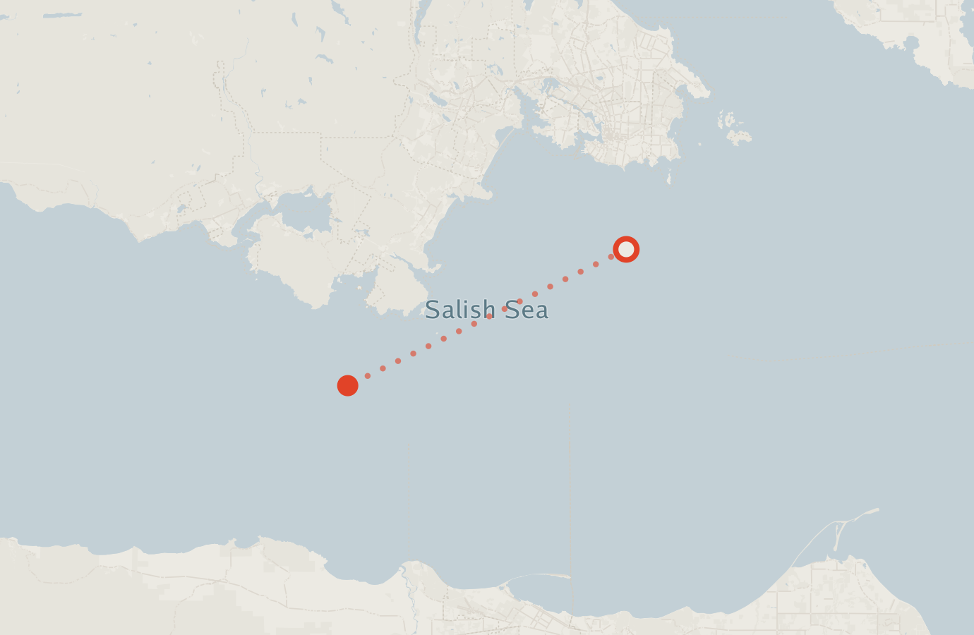 Activity map — real sighting points on an OpenStreetMap basemap