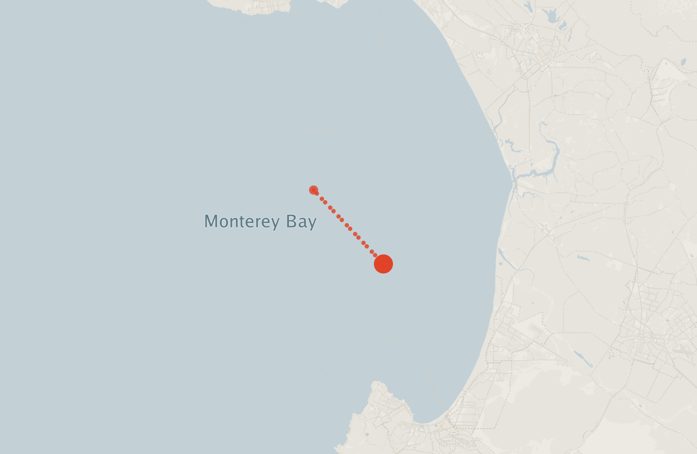 Activity map — real sighting points on an OpenStreetMap basemap