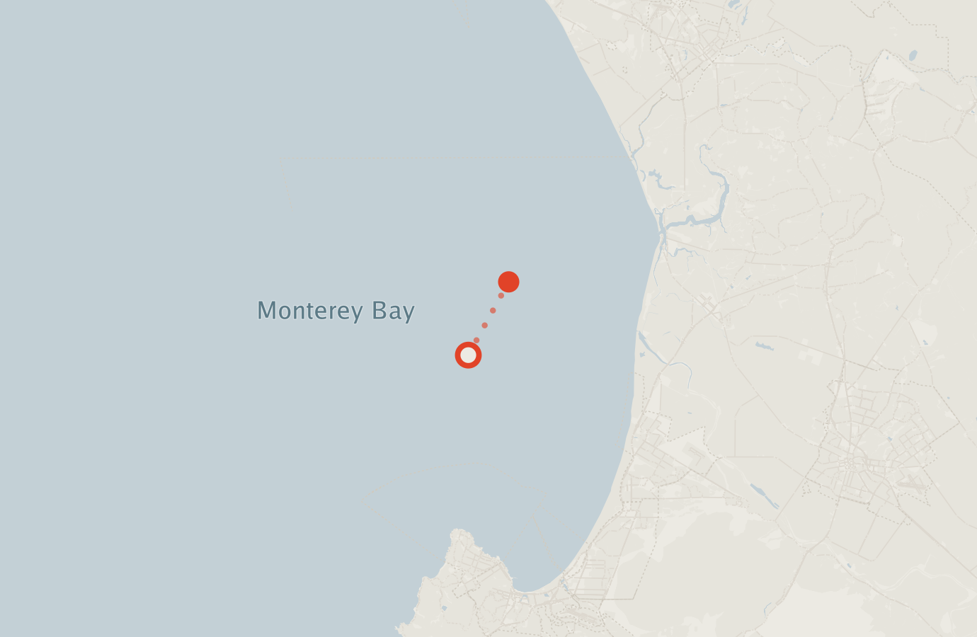 Activity map — real sighting points on an OpenStreetMap basemap