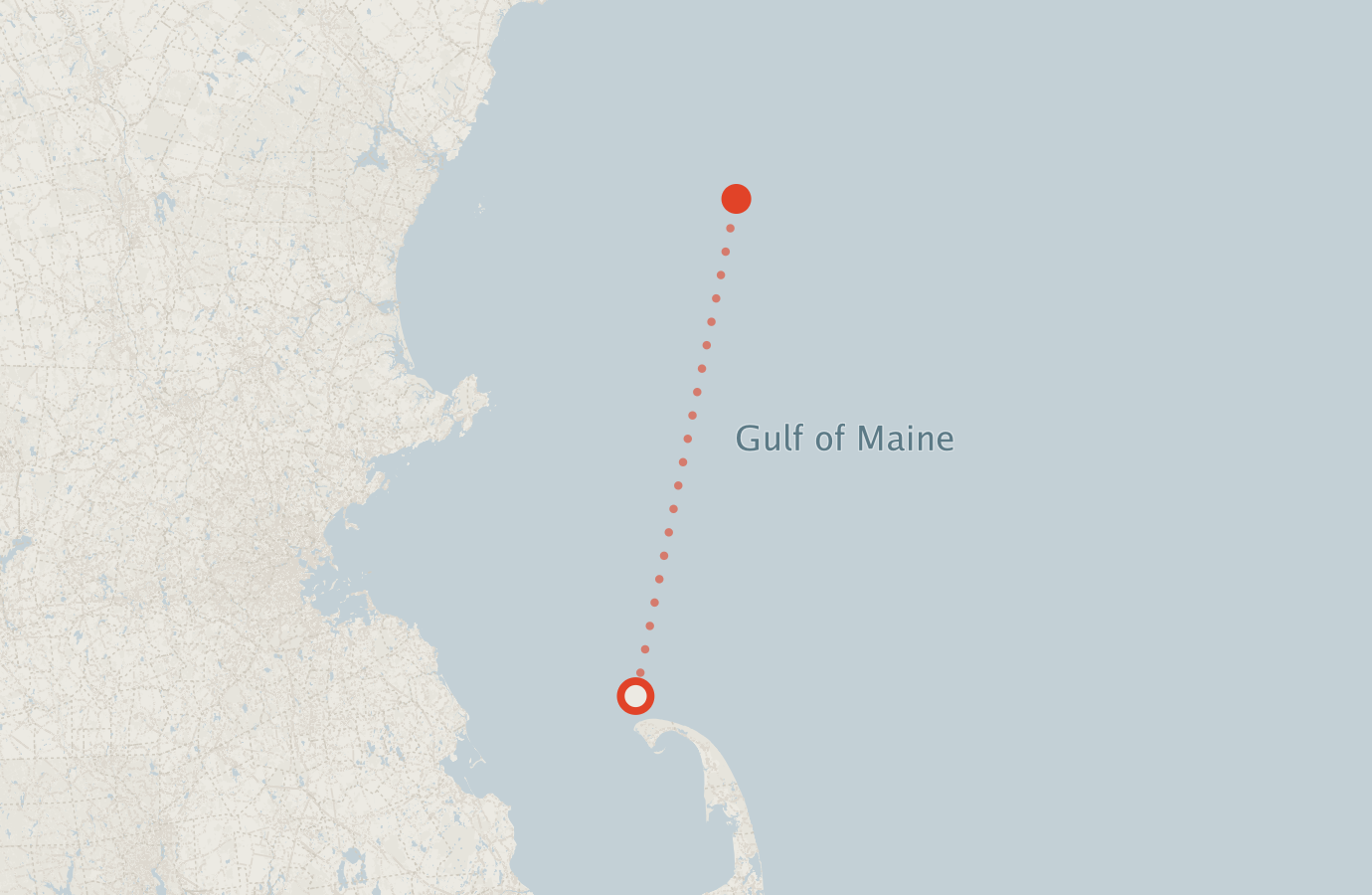 Activity map — real sighting points on an OpenStreetMap basemap