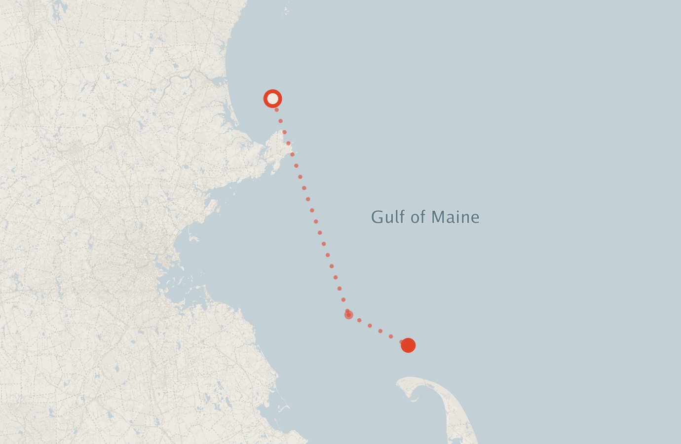Activity map — real sighting points on an OpenStreetMap basemap