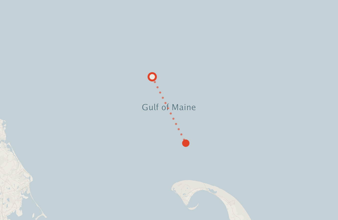 Activity map — real sighting points on an OpenStreetMap basemap