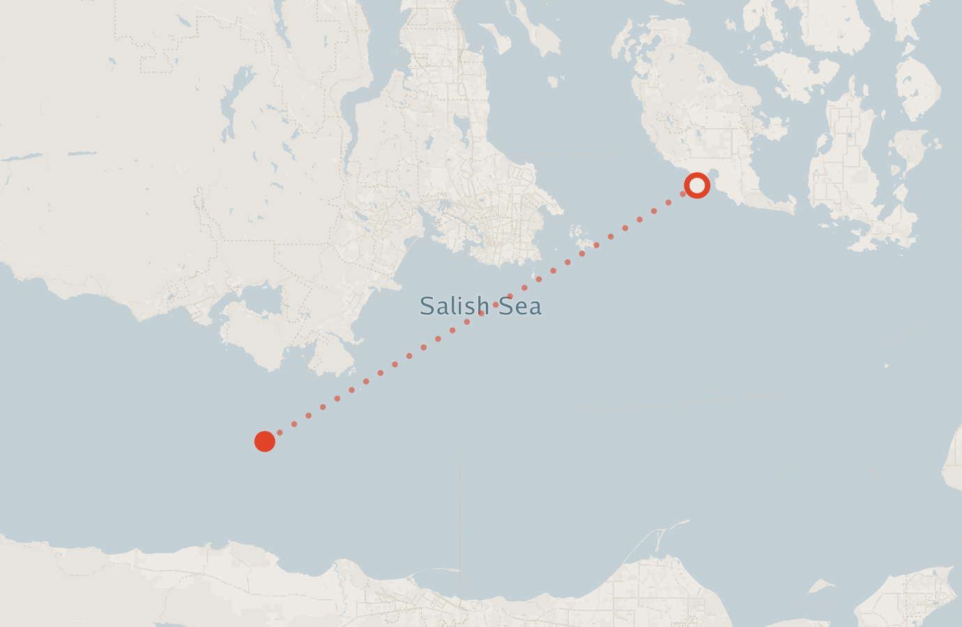 Activity map — real sighting points on an OpenStreetMap basemap