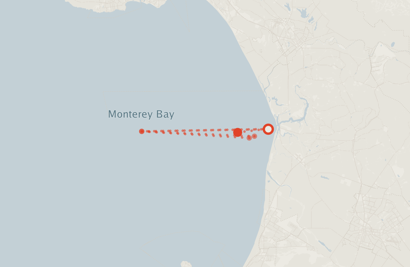 Activity map — real sighting points on an OpenStreetMap basemap
