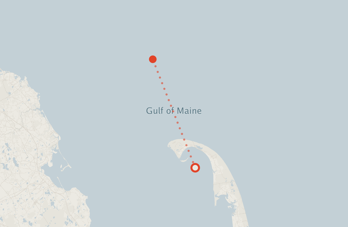 Activity map — real sighting points on an OpenStreetMap basemap