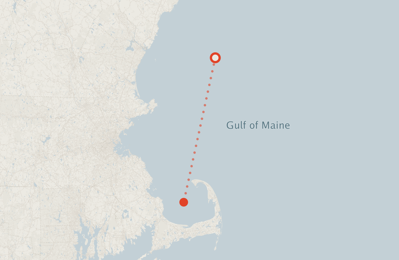Activity map — real sighting points on an OpenStreetMap basemap