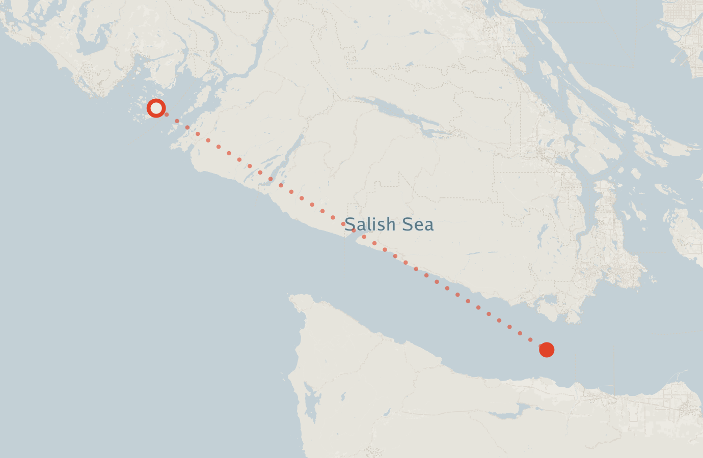 Activity map — real sighting points on an OpenStreetMap basemap