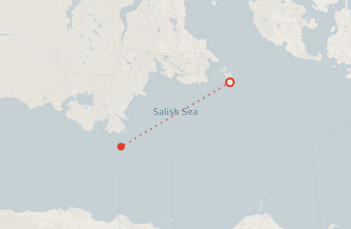 Activity map — real sighting points on an OpenStreetMap basemap