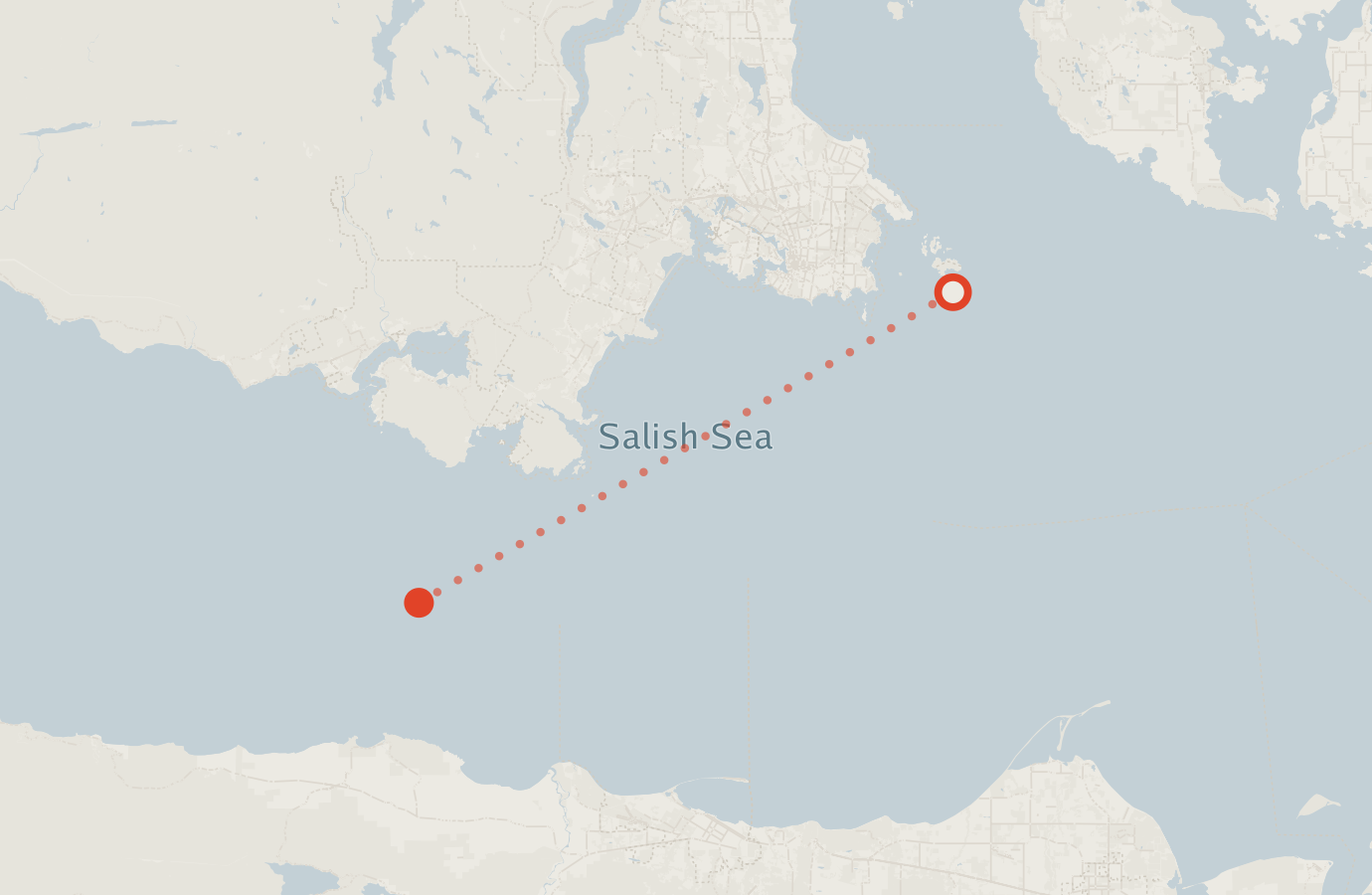Activity map — real sighting points on an OpenStreetMap basemap