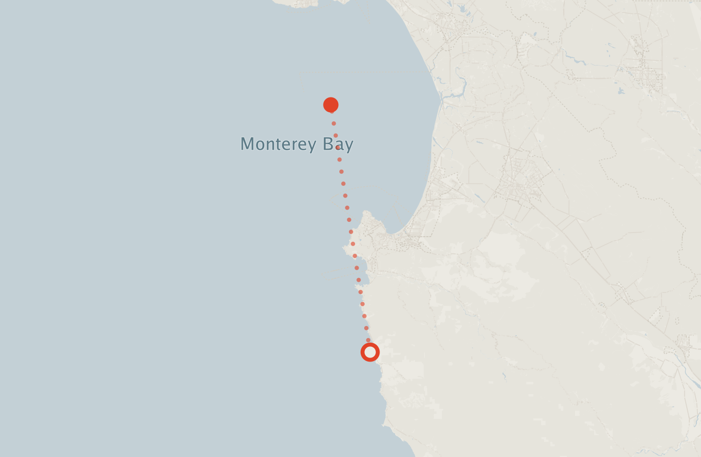 Activity map — real sighting points on an OpenStreetMap basemap
