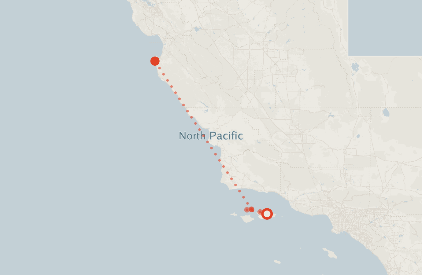 Activity map — real sighting points on an OpenStreetMap basemap