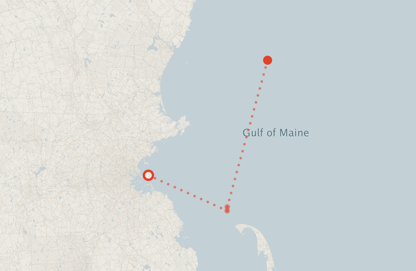 Activity map — real sighting points on an OpenStreetMap basemap