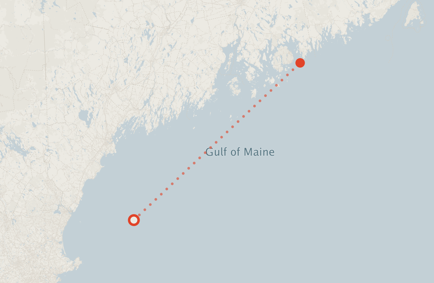 Activity map — real sighting points on an OpenStreetMap basemap