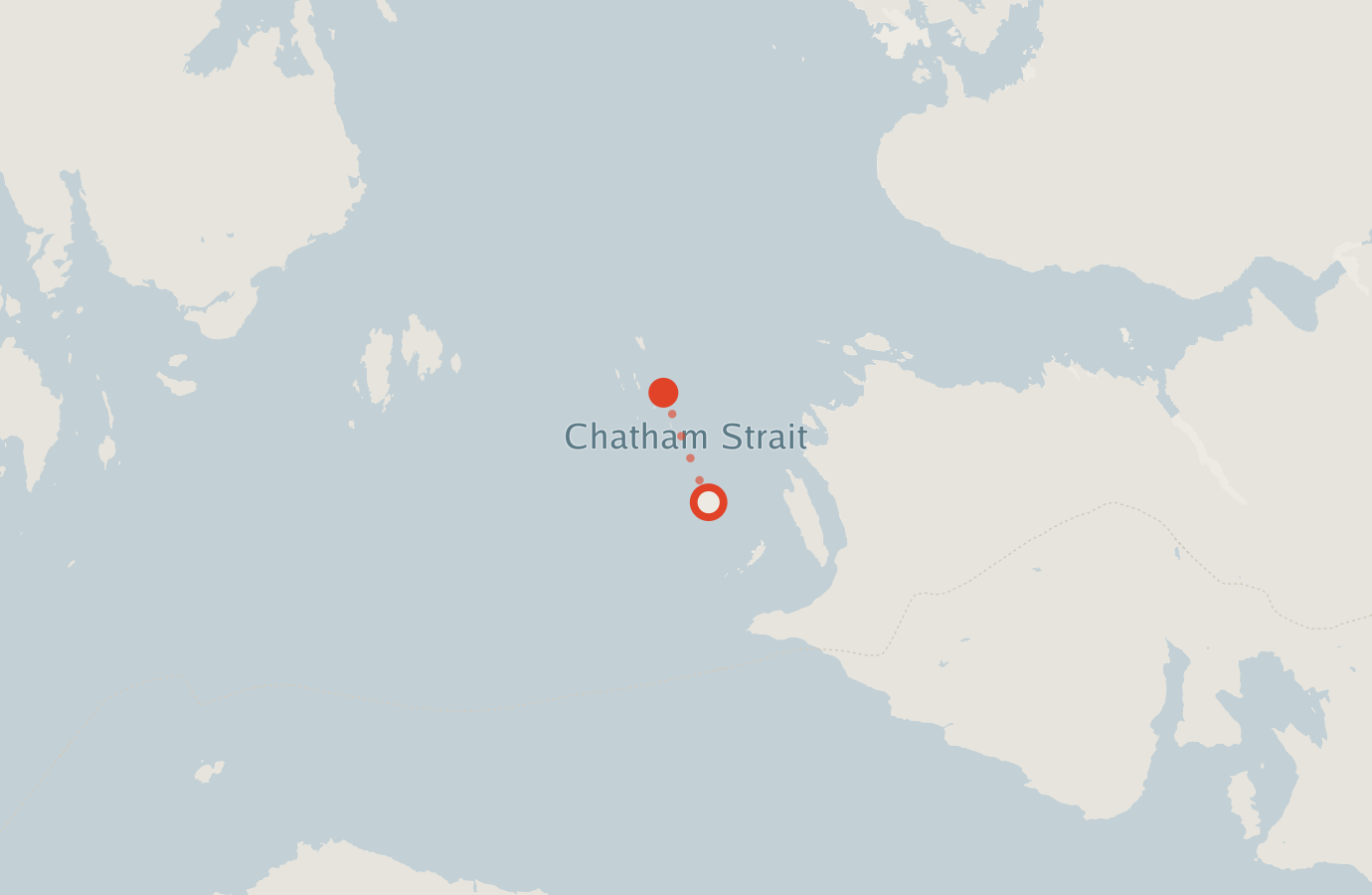 Activity map — real sighting points on an OpenStreetMap basemap