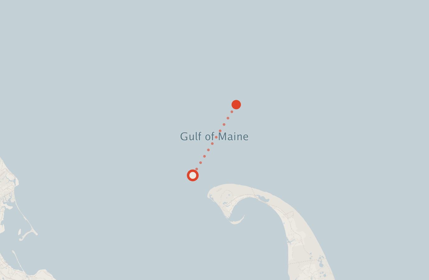 Activity map — real sighting points on an OpenStreetMap basemap