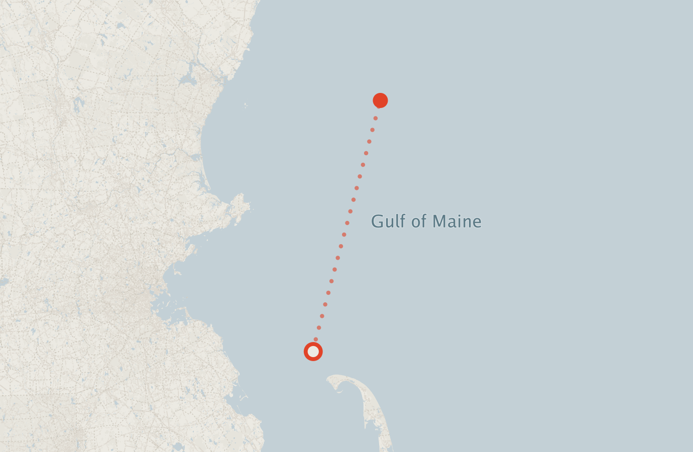 Activity map — real sighting points on an OpenStreetMap basemap