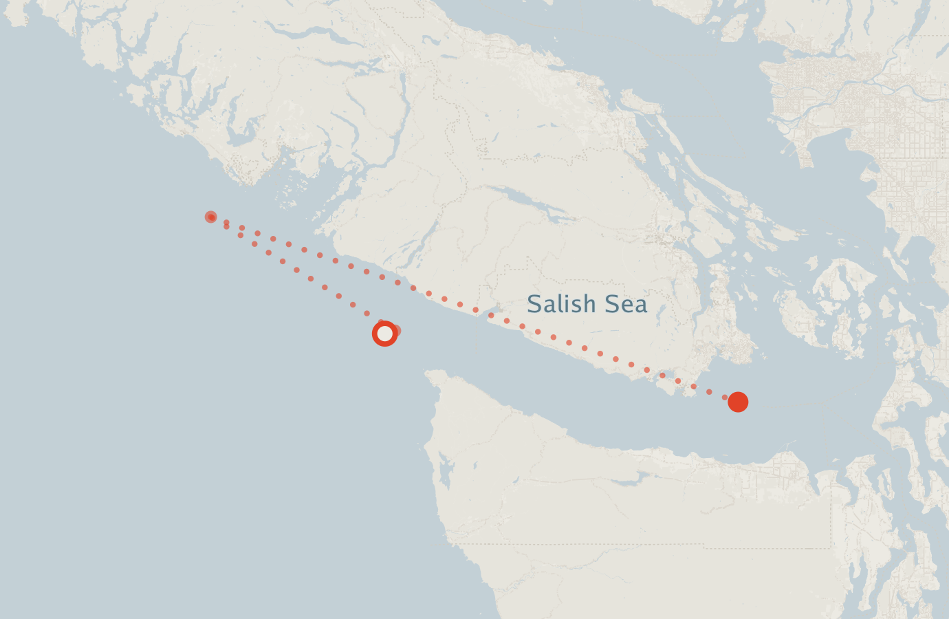 Activity map — real sighting points on an OpenStreetMap basemap