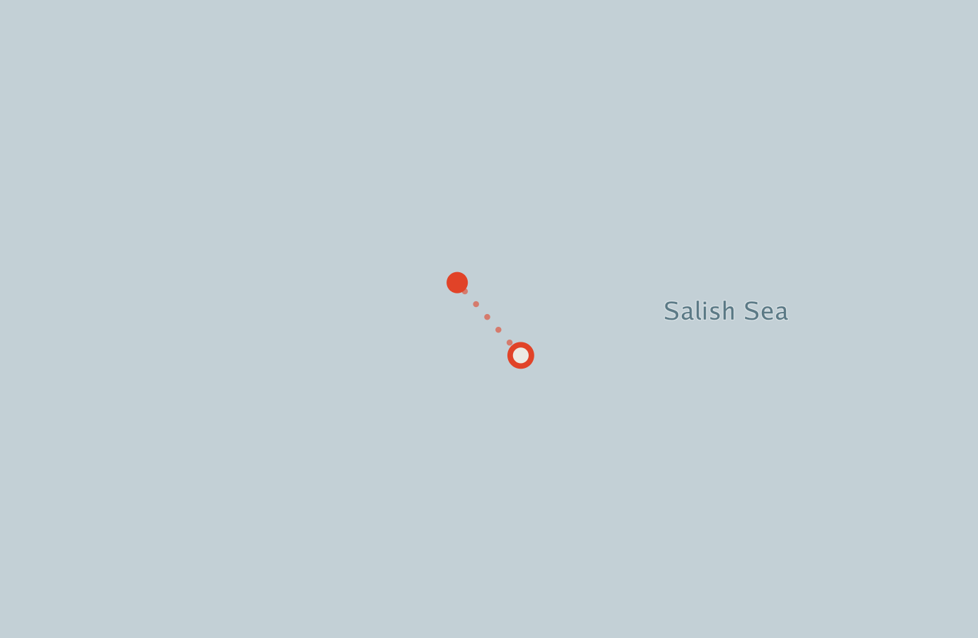 Activity map — real sighting points on an OpenStreetMap basemap