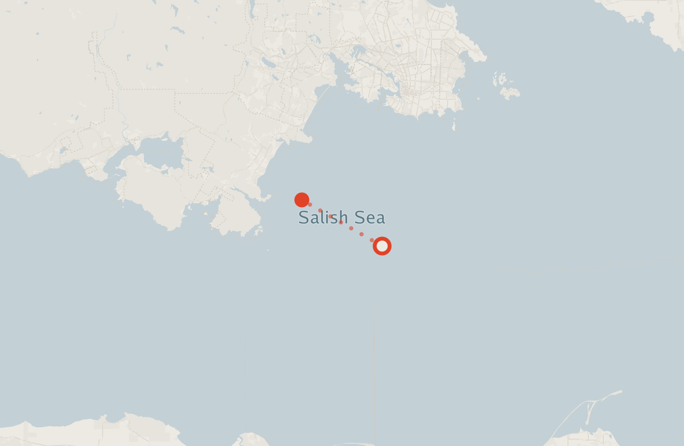 Activity map — real sighting points on an OpenStreetMap basemap