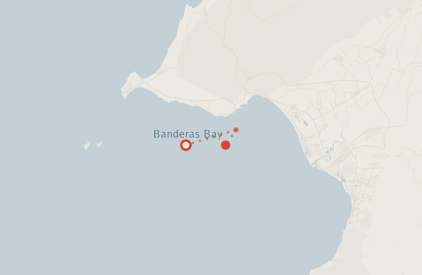 Activity map — real sighting points on an OpenStreetMap basemap